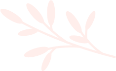 Leaves img.png