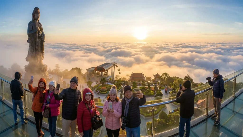 San may trên đỉnh Vân Sơn